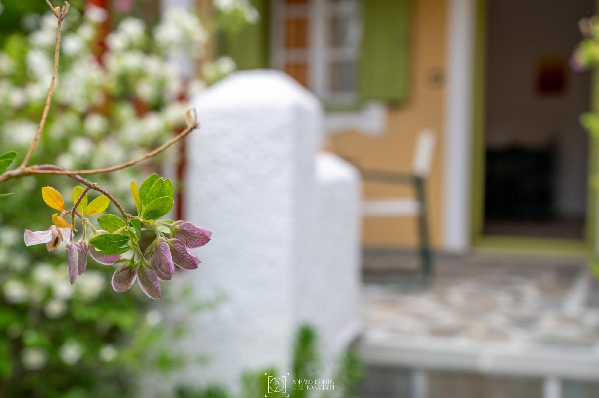 Pleiades Samos Apartment Marathokampos Exterior photo